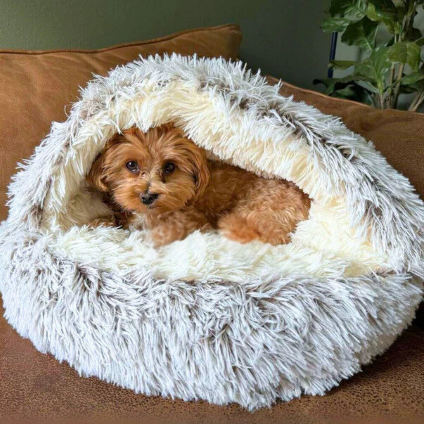 CutyPet™ Bed