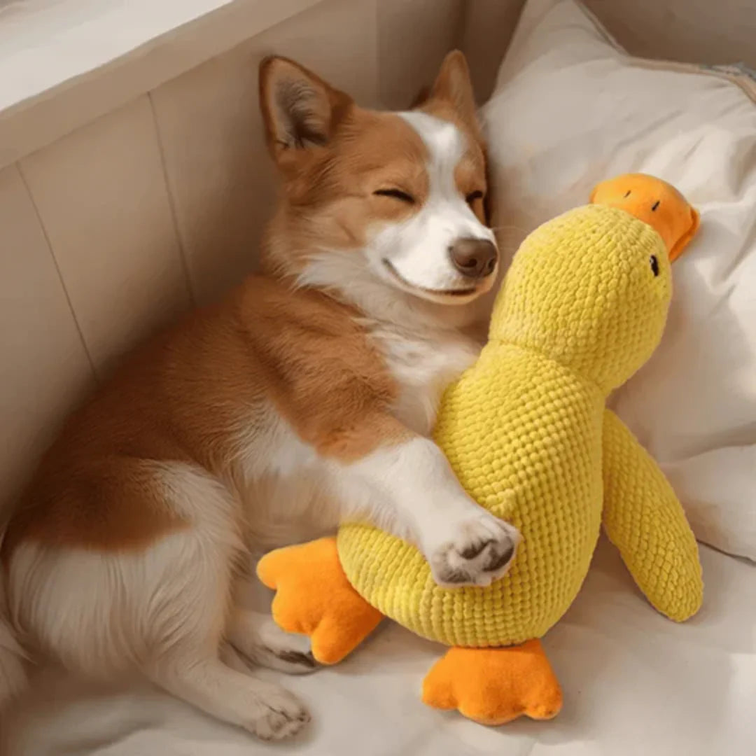 Calming Duck Toy