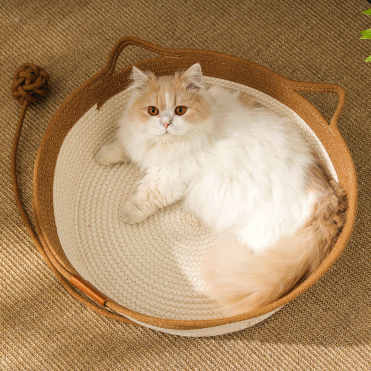 CutyPet™ Katzenkorb