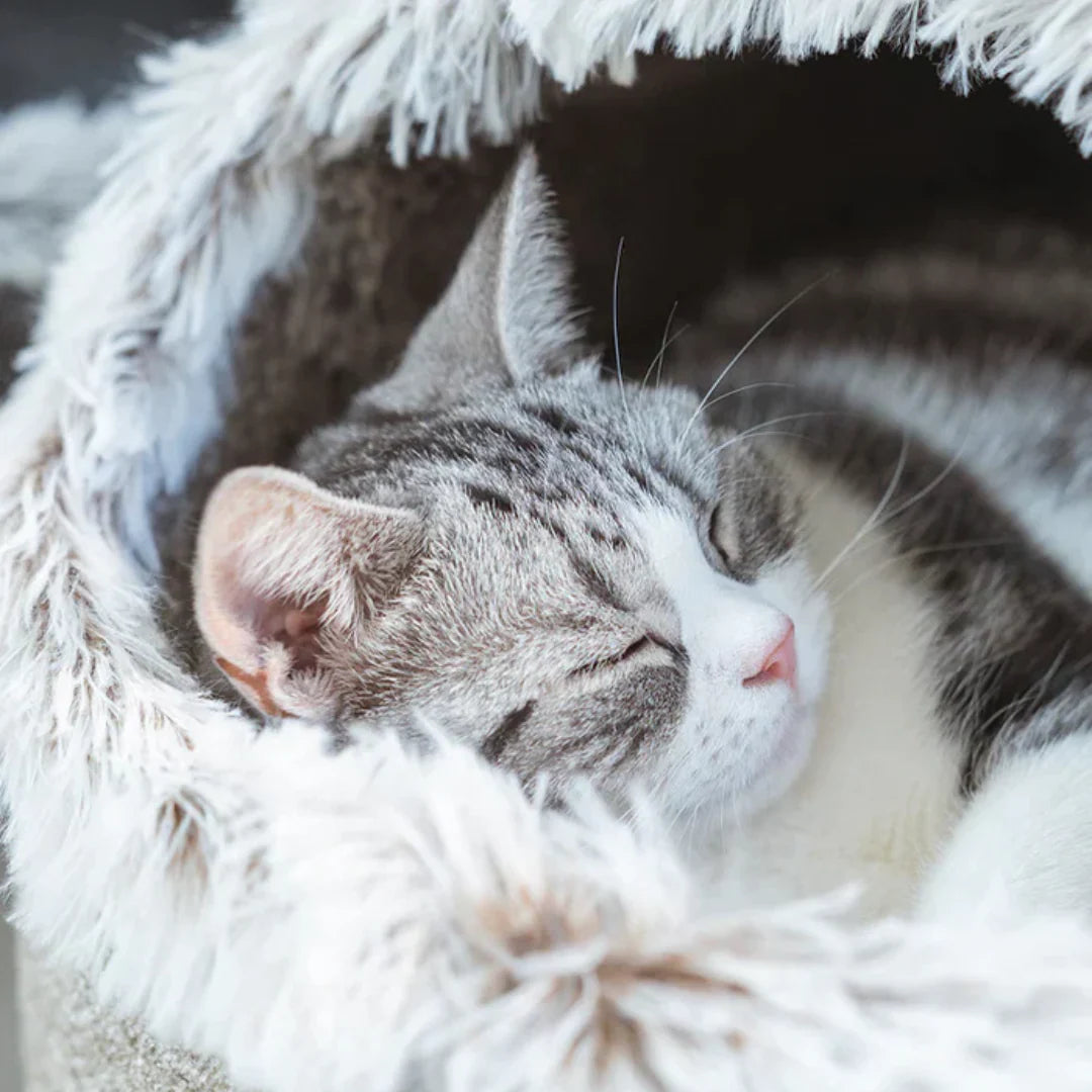 CutyNest™ | Luxury Winter Bed