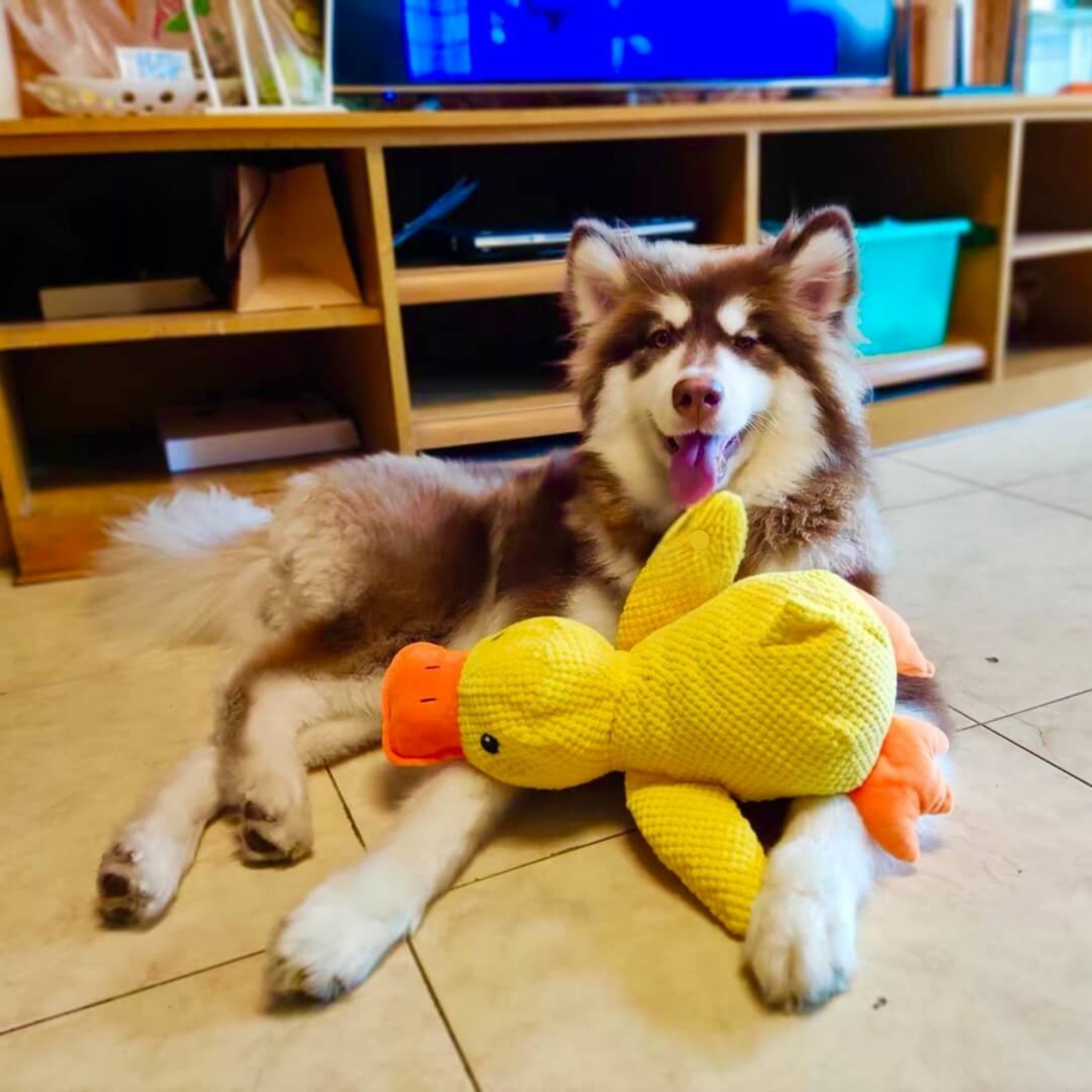 Calming Duck Toy