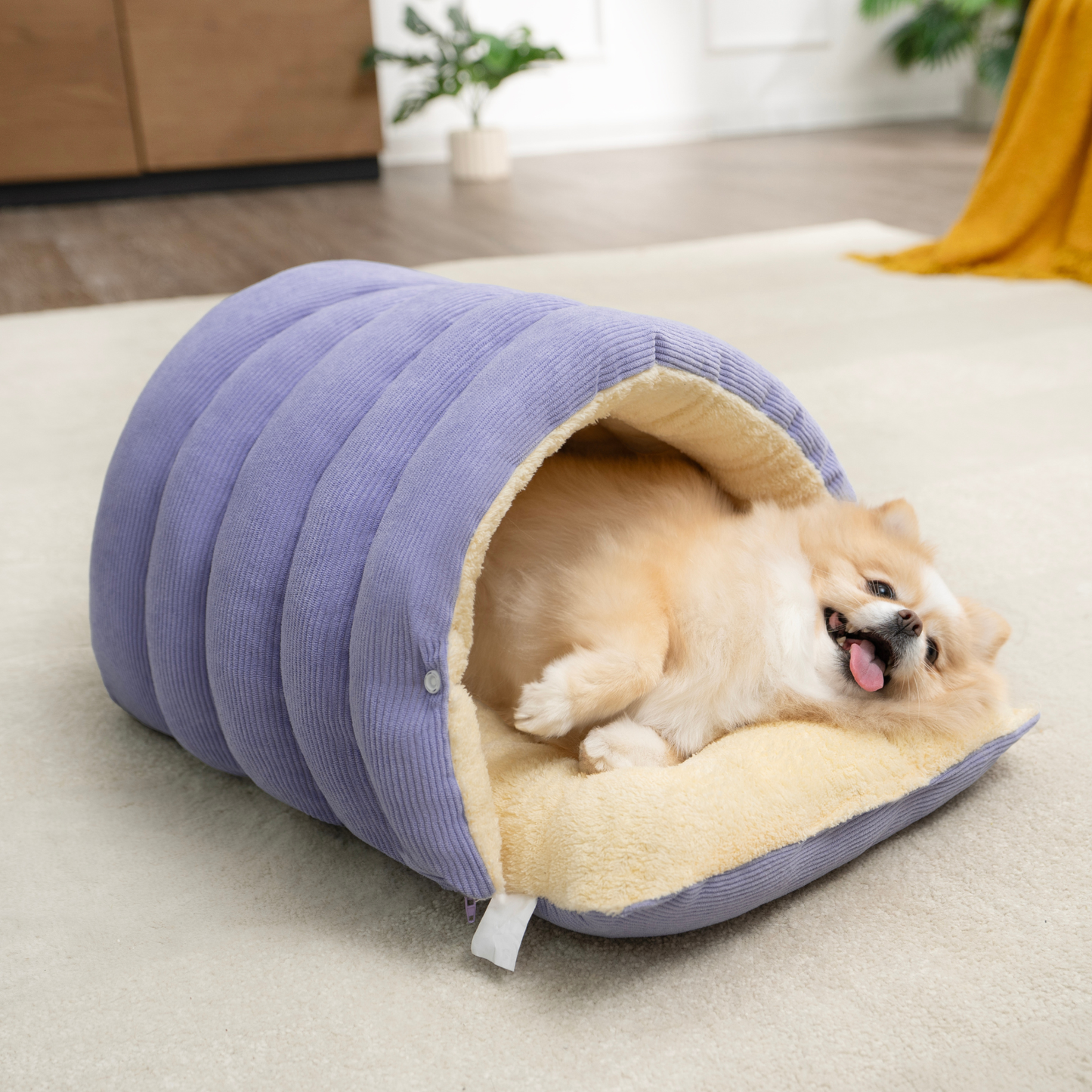 CutyPet™ Winter Cave