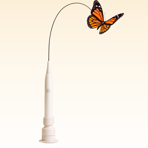 CutyChase™ – Interaktives Katzenspielzeug