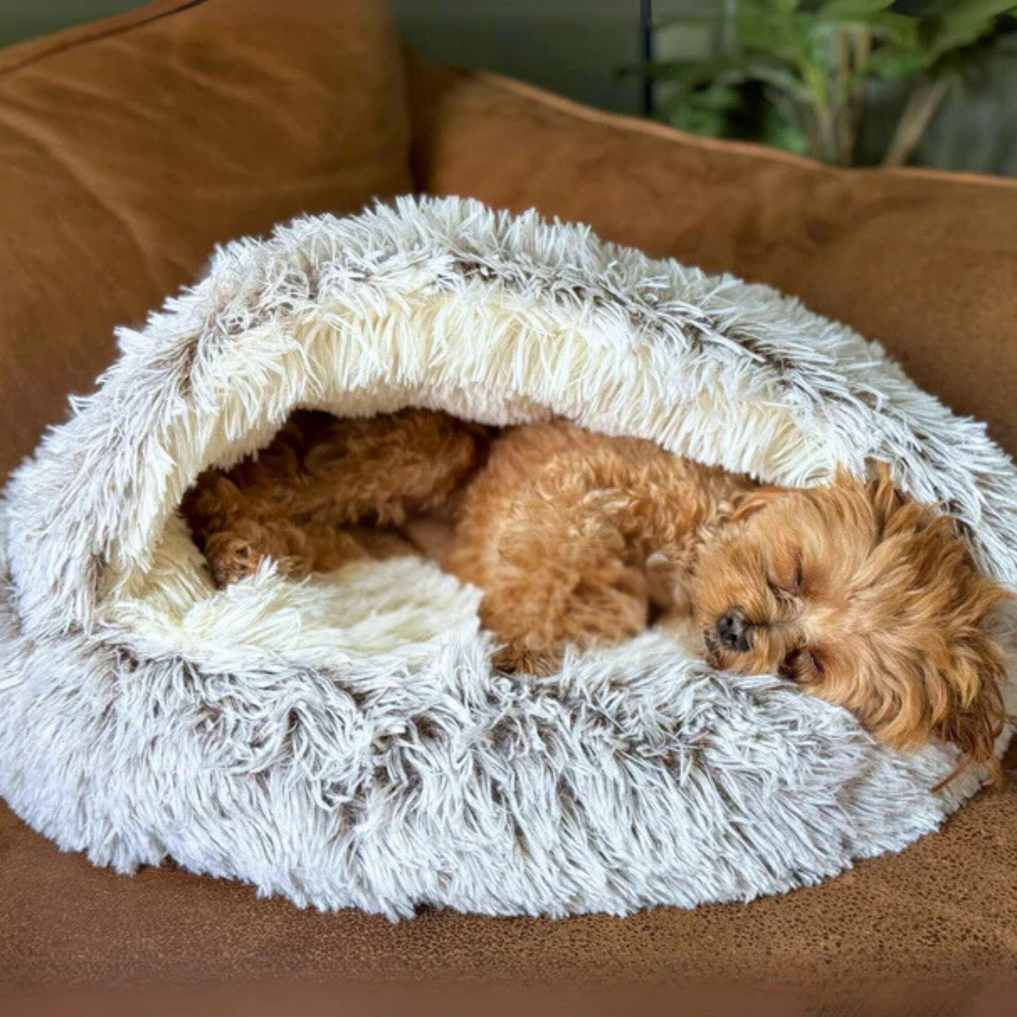 CutyPet™ Bed