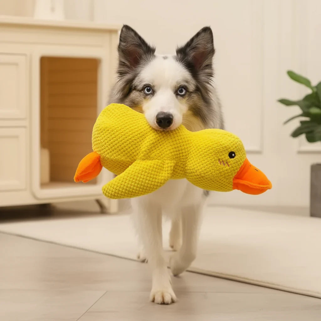 Calming Duck Toy