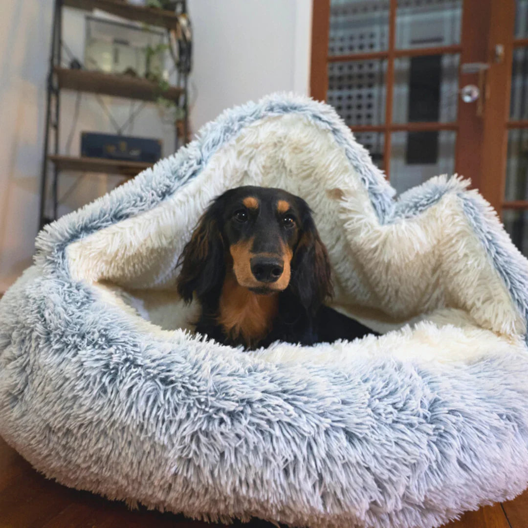 CutyPet™ Bed