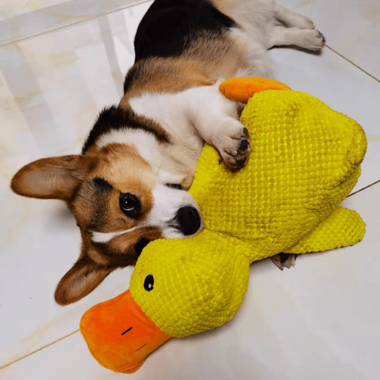 Calming Duck Toy
