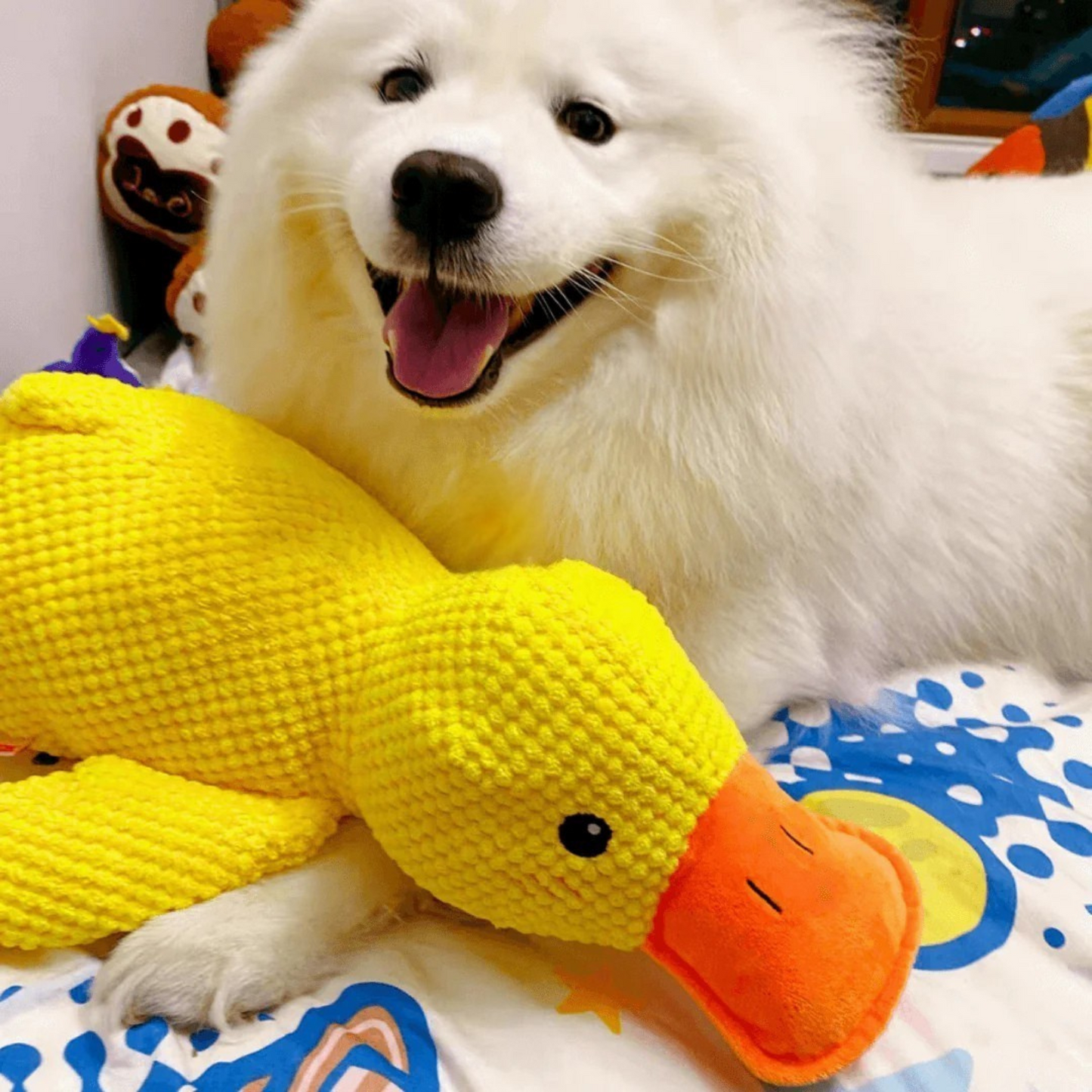 Calming Duck Toy