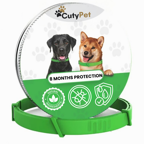 CutyCollar™