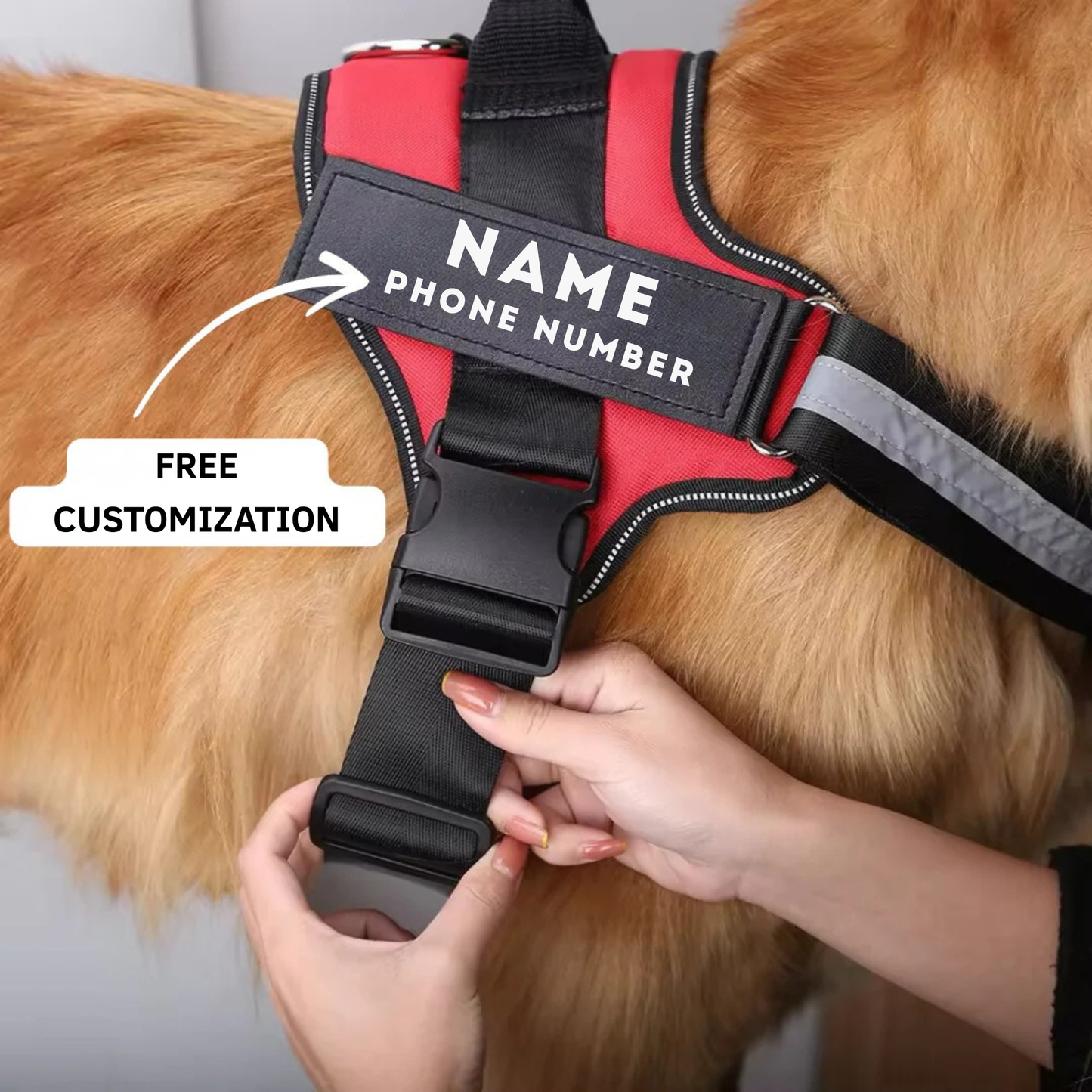 Personalized No Pull Dog Harness