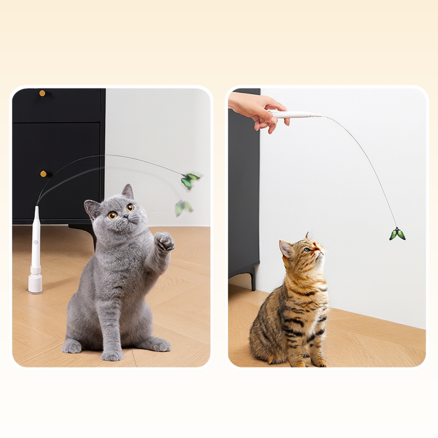 CutyChase™ - Interactive Cat Toy