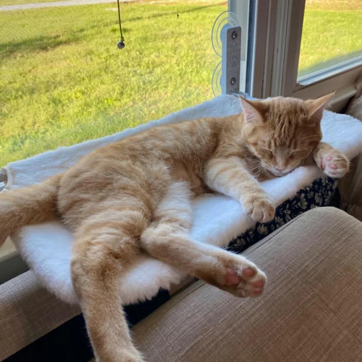 CutyPet™ Hängematte