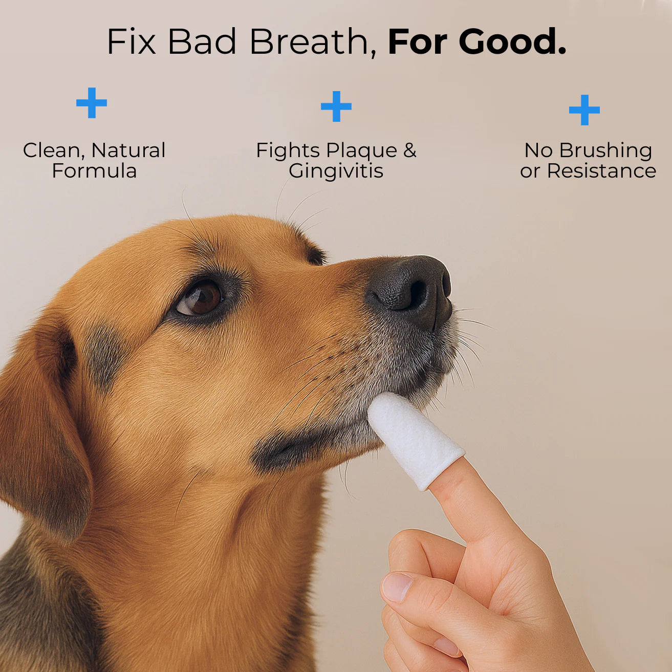 CutyPet™ Dental Wipes