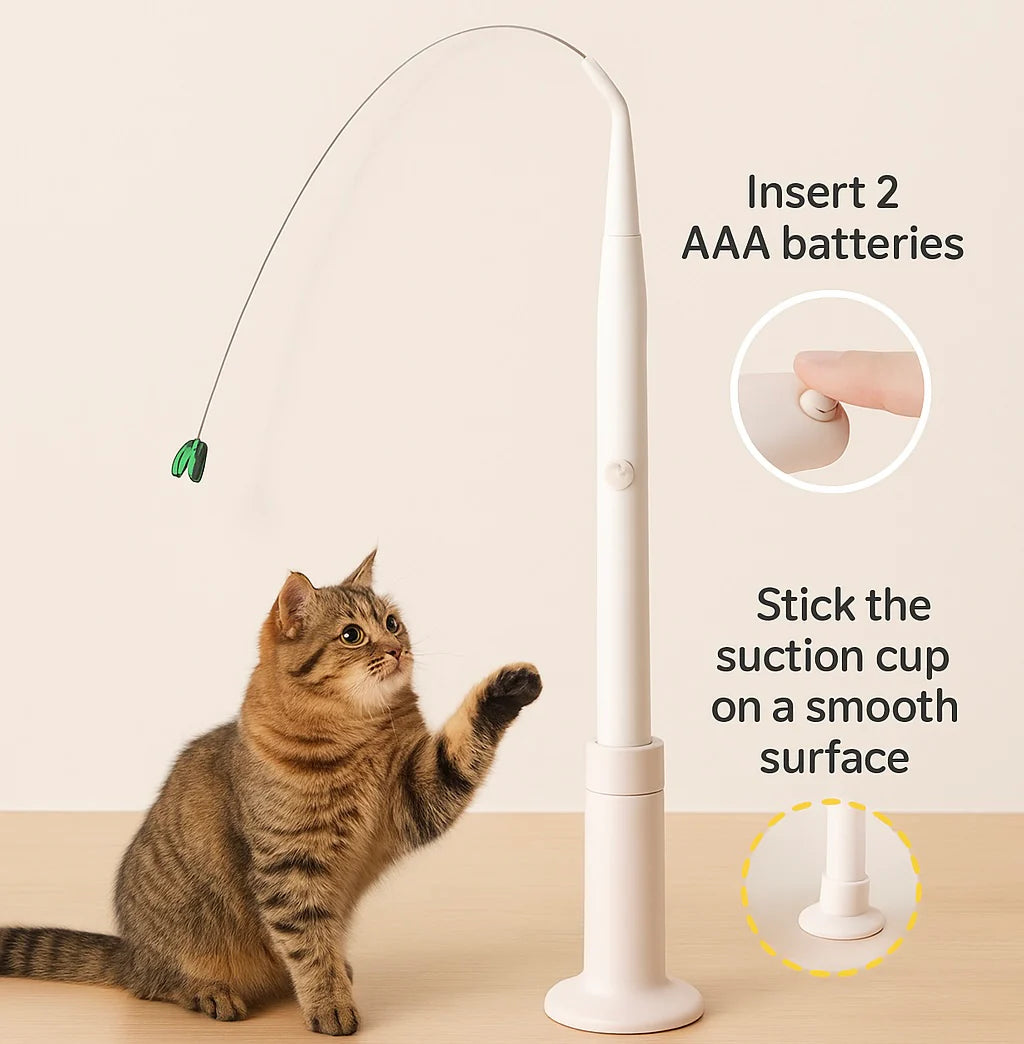 CutyChase™ - Interactive Cat Toy