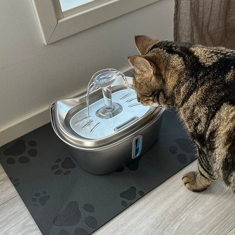 CutyPet™ Fountain