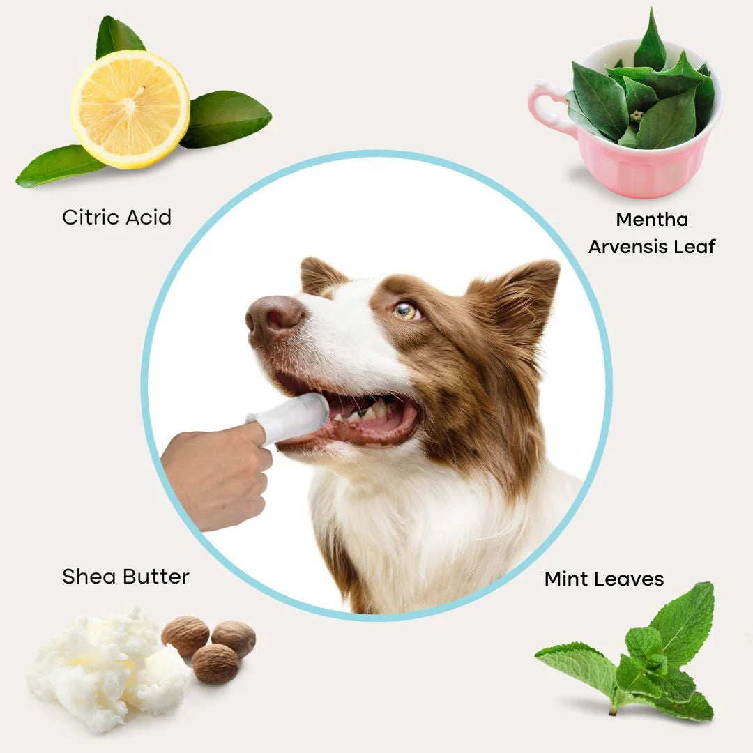 CutyPet™ Dental Wipes