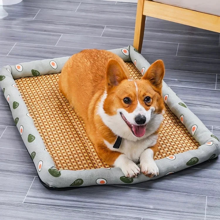 CutyPet™ Kühlmatte