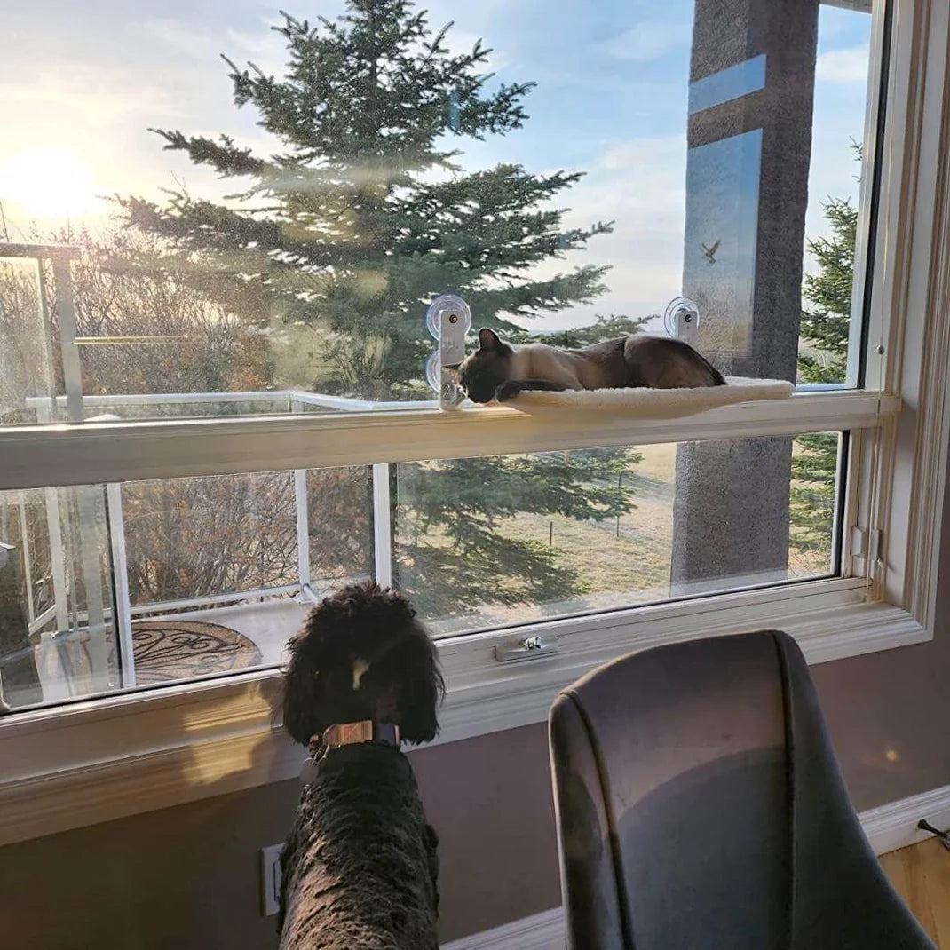 CutyPet™ Hängematte