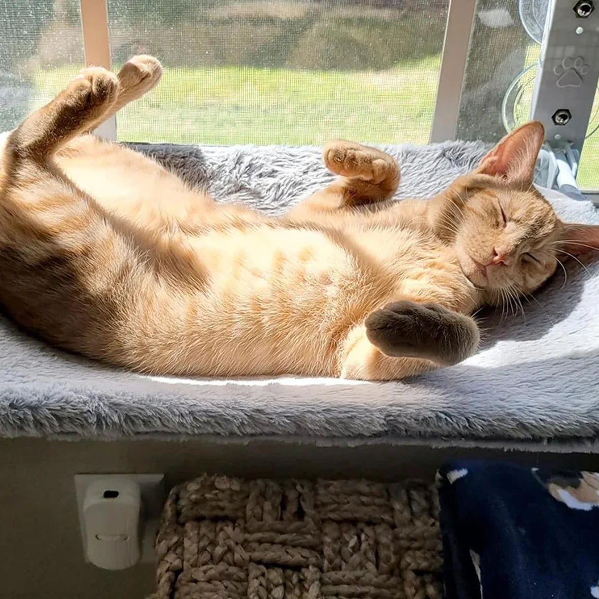 CutyPet™ Hängematte