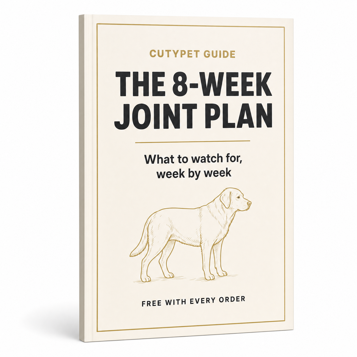 The 8-Week Joint Plan — free digital guide