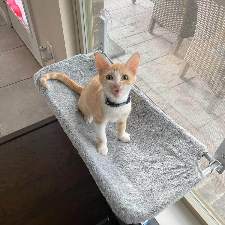 CutyPet™ Hängematte