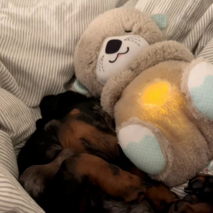 Calming Breathing Otter