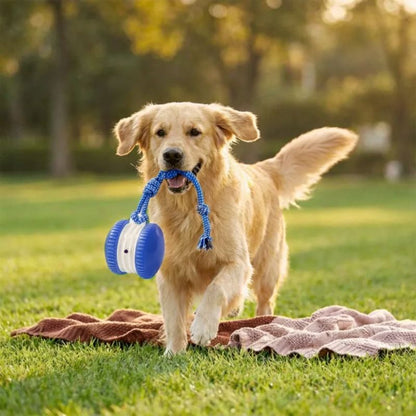 TailChase - Interactive Dog Toy