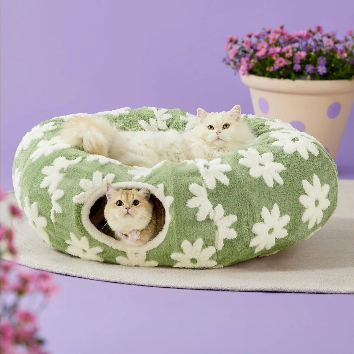 Christmas Tunnel Bed