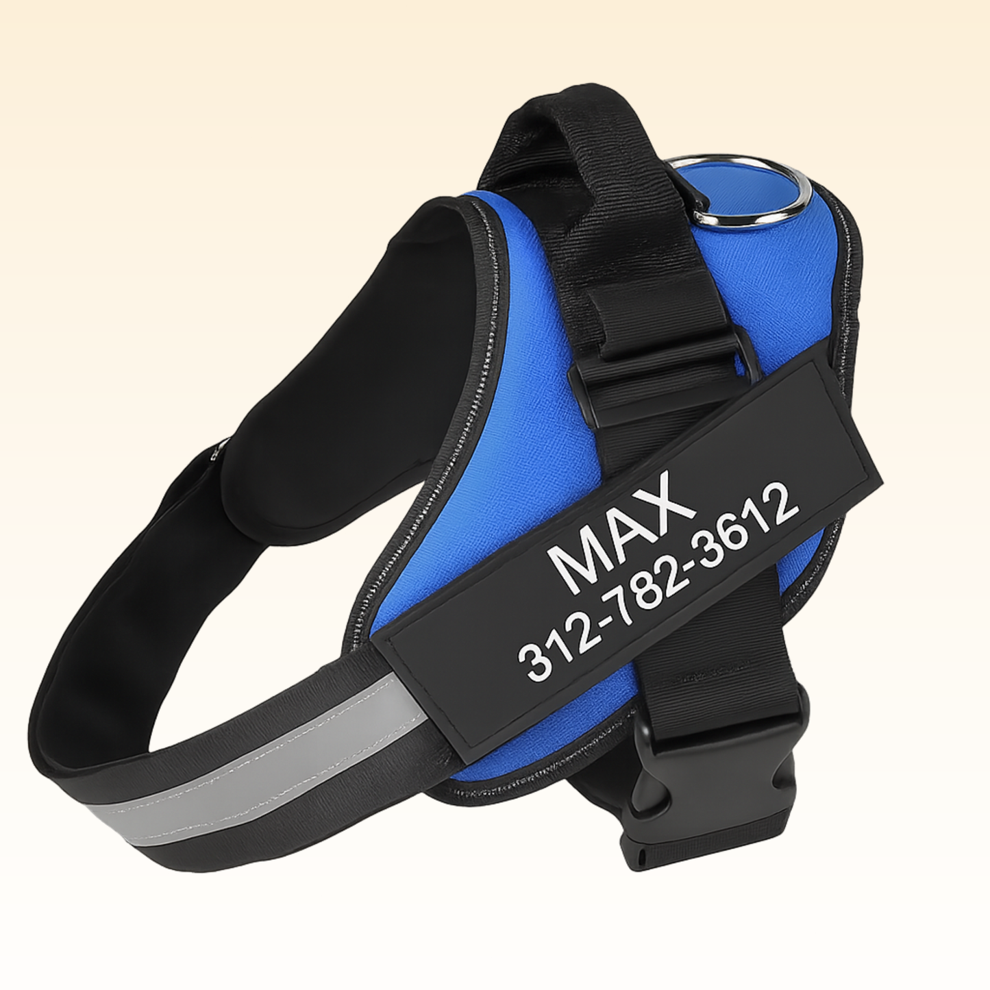 Personalized No Pull Dog Harness