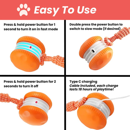 TailChase - Interactive Dog Toy