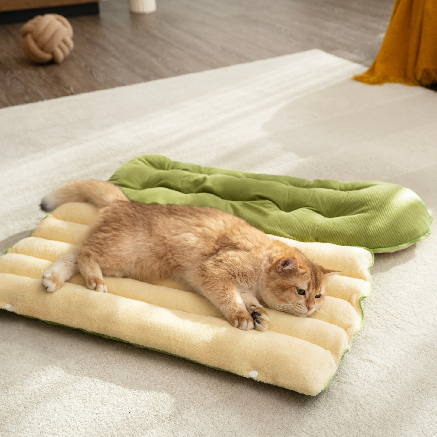 CutyPet™ Winter Cave