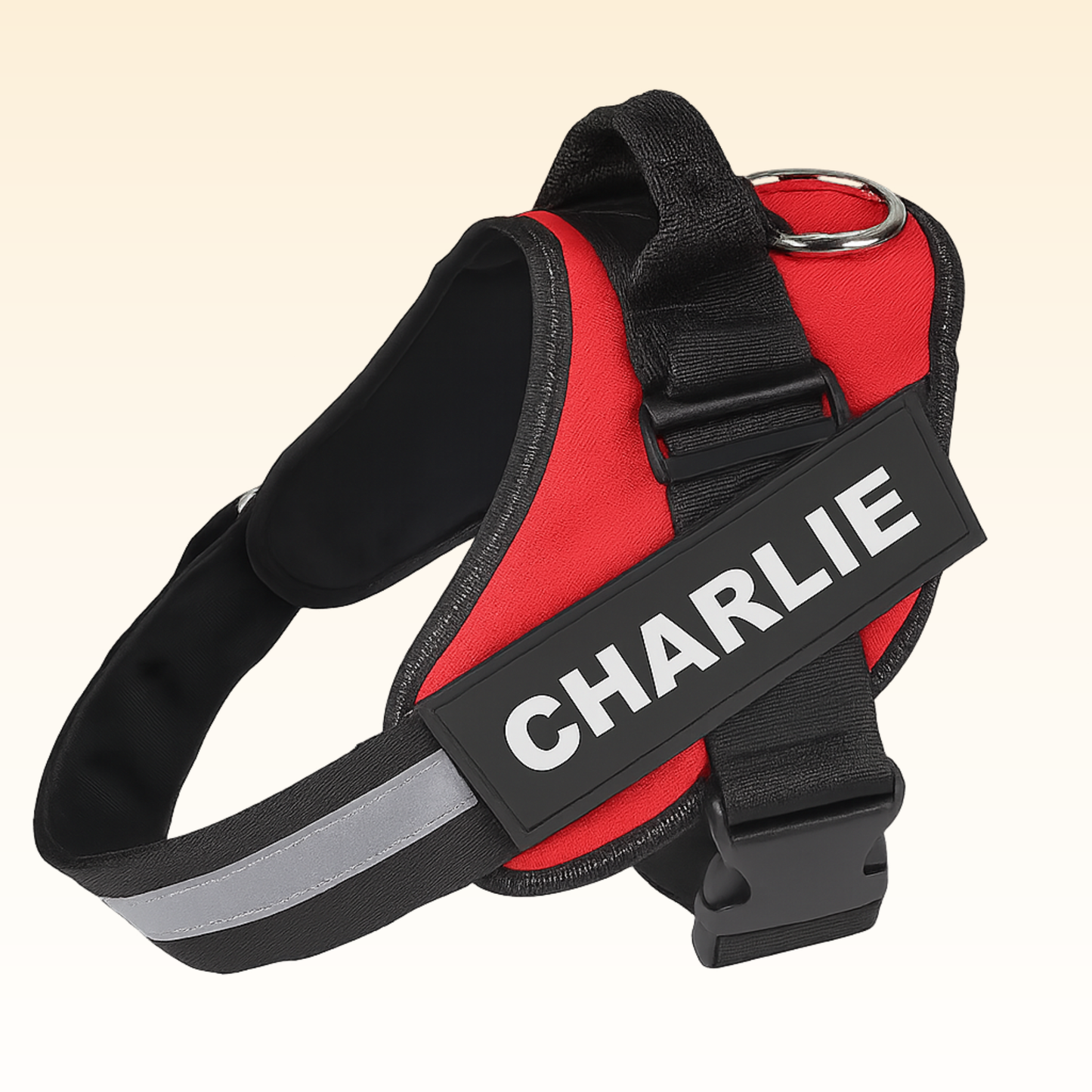 Personalized No Pull Dog Harness