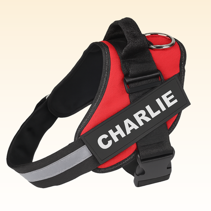 Personalized No Pull Dog Harness