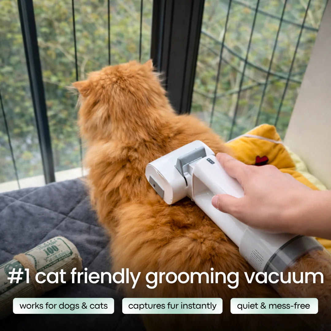 CutyPet™ Vacuum Brush