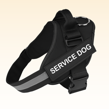 Personalized No Pull Dog Harness
