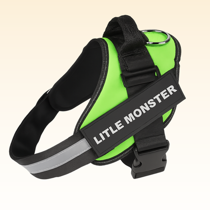Personalized No Pull Dog Harness