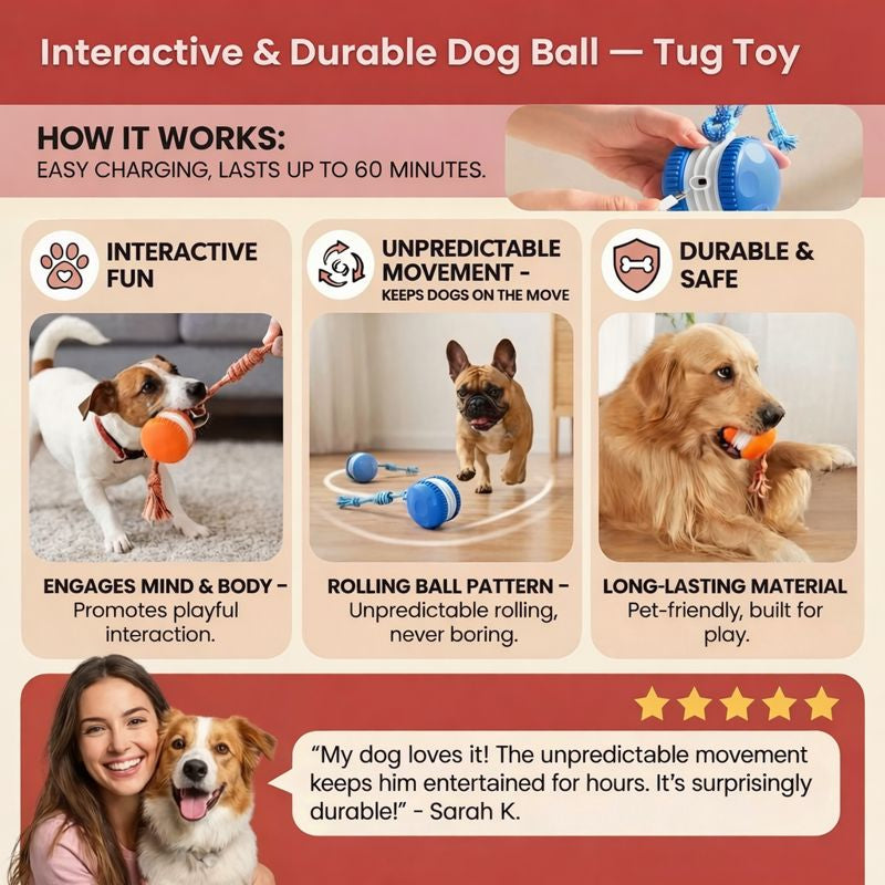TailChase - Interactive Dog Toy