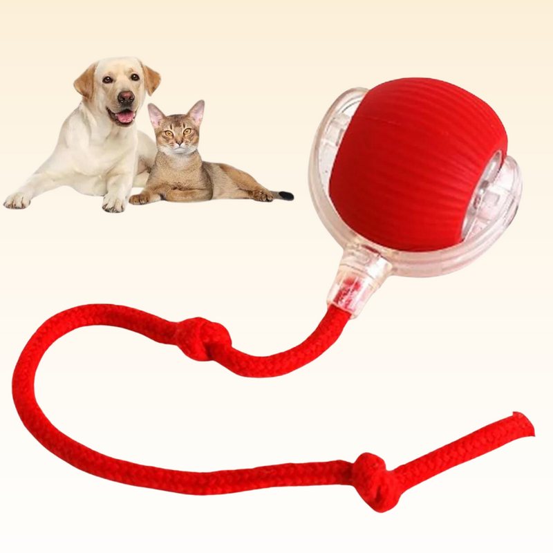 CutyPet™ Pet Ball