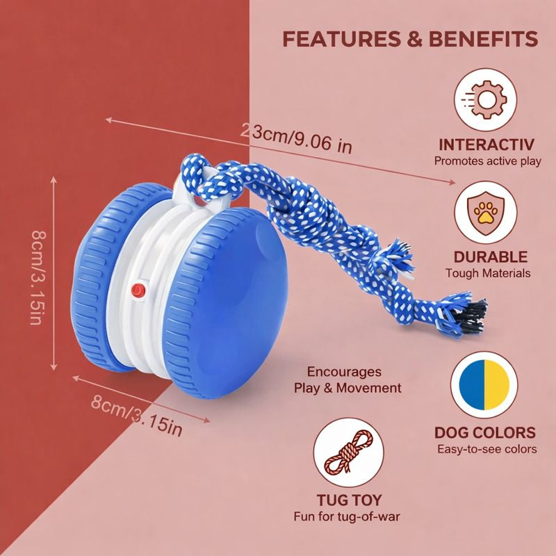 TailChase - Interactive Dog Toy