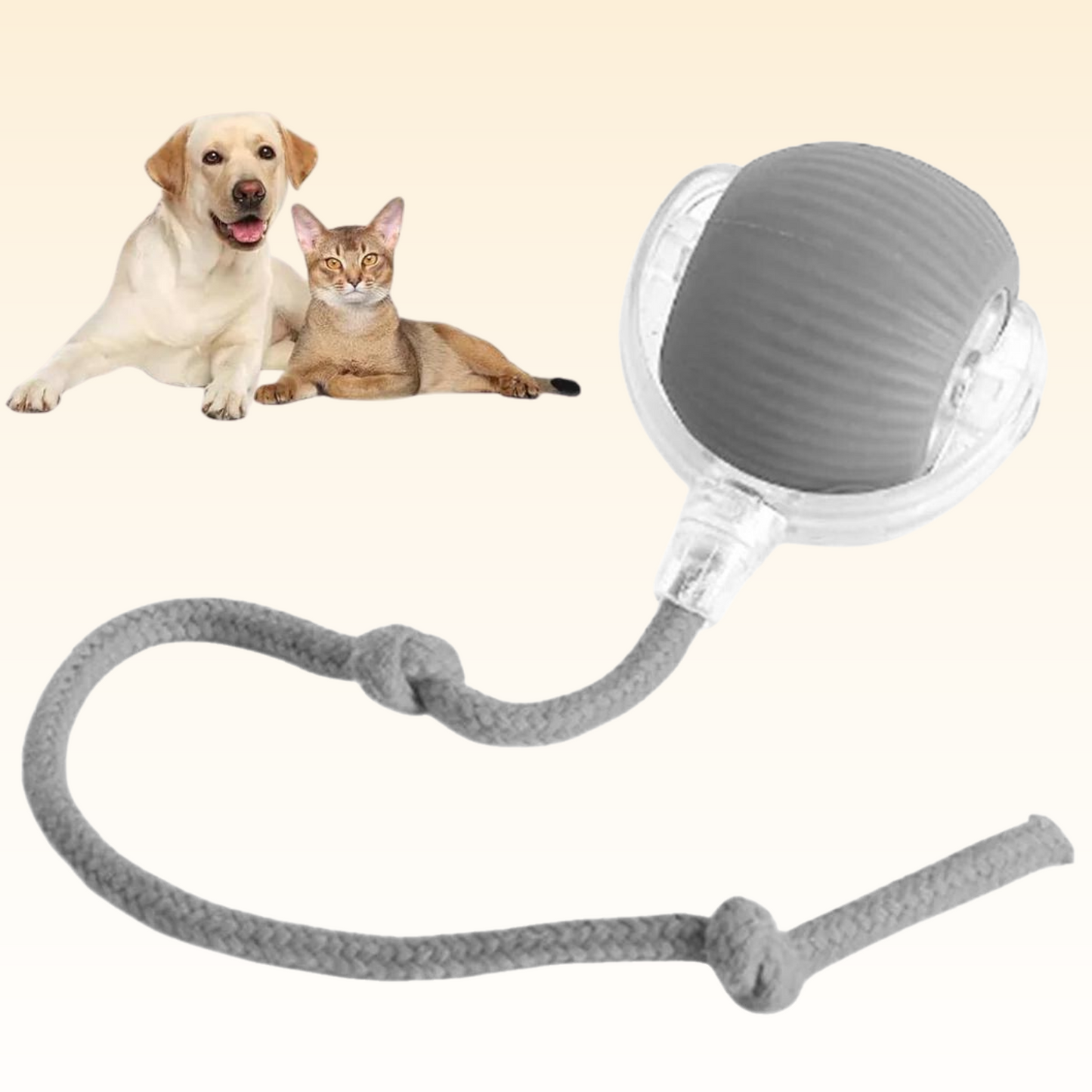 CutyPet™ Pet Ball