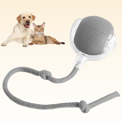 CutyPet™ Pet Ball