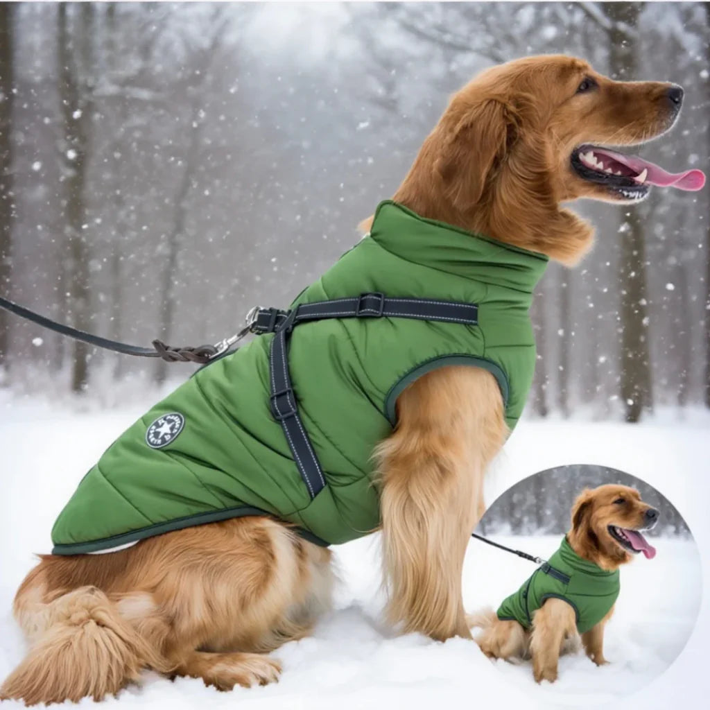 3 in 1 Winter Jacket