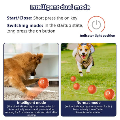 <tc>CutyPet™ Balle interactive</tc>