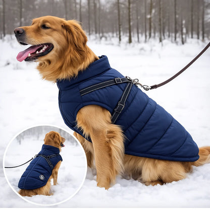 3 in 1 Winter Jacket