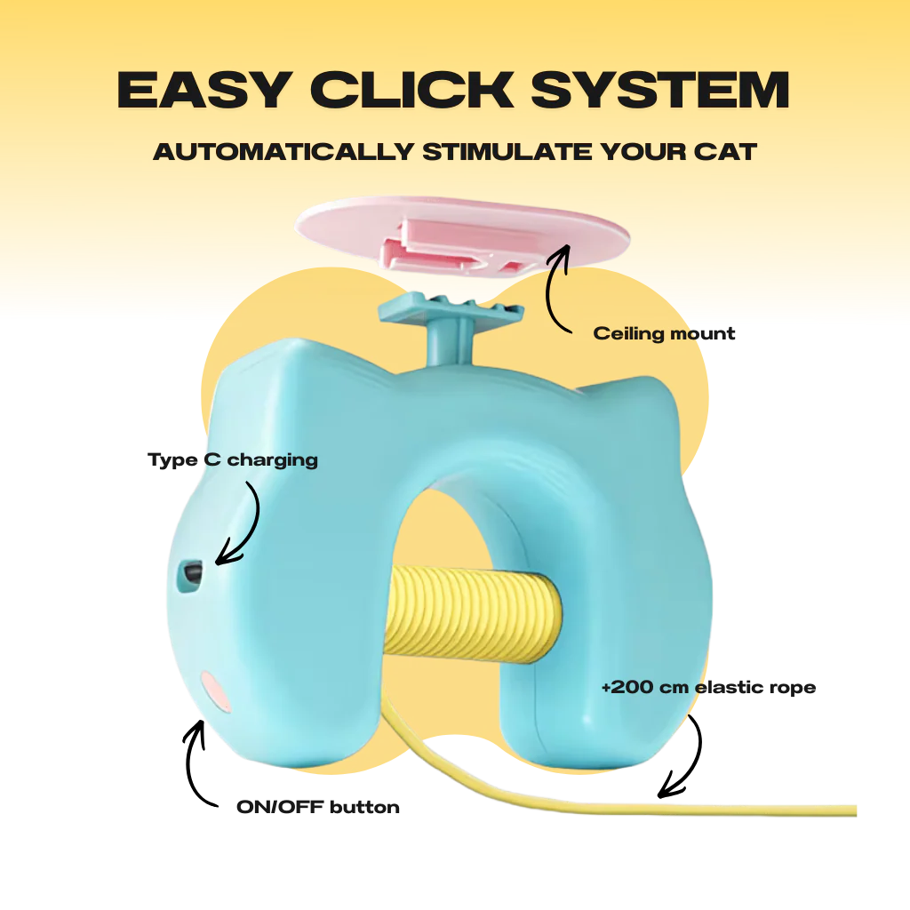 Interactive Yo-yo Cat Toy