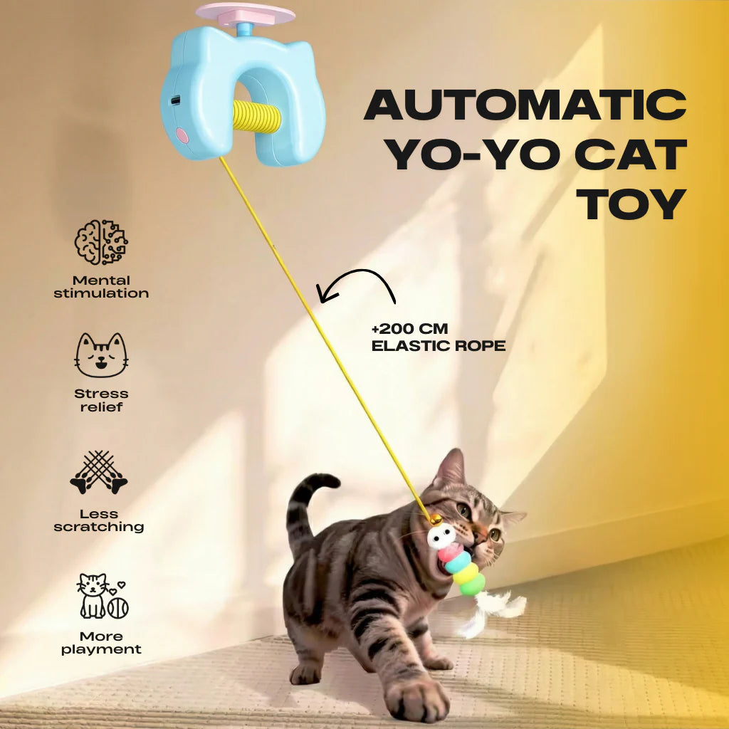 Interactive Yo-yo Cat Toy