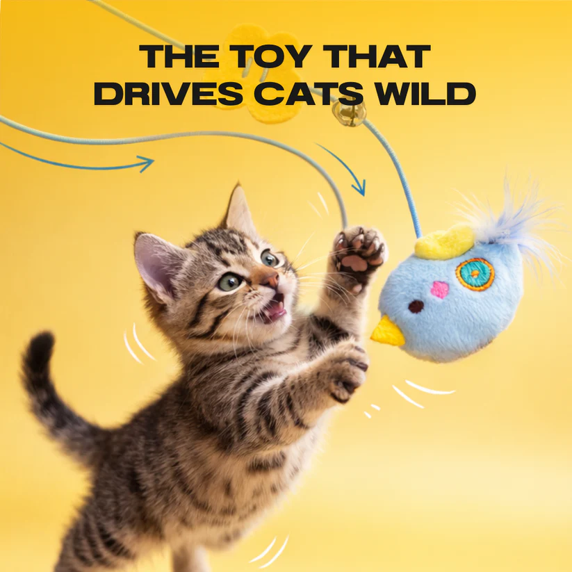 Interactive Yo-yo Cat Toy