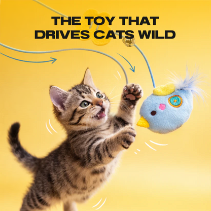 Interactive Yo-yo Cat Toy