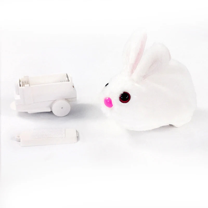 Rolling Hamster Ball