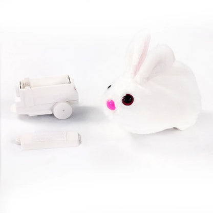 Rolling Hamster Ball